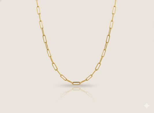 Paper Clip Chain Necklace